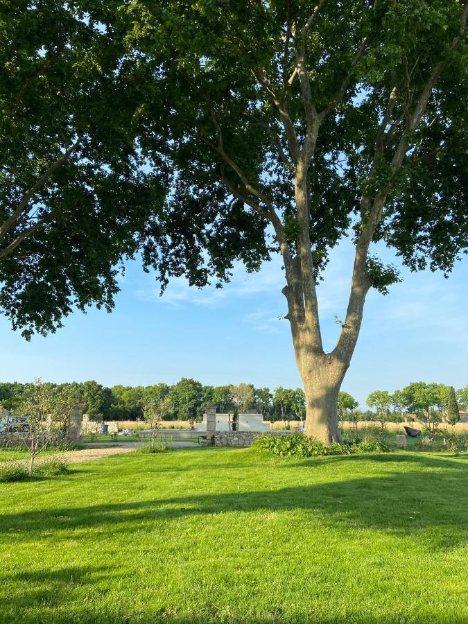 Mas Des 2 Platanes Panzió Arles Kültér fotó